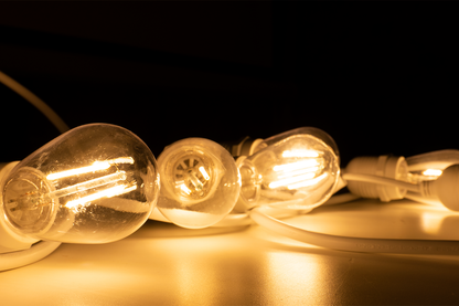 FES10WH - Festoon String White on view