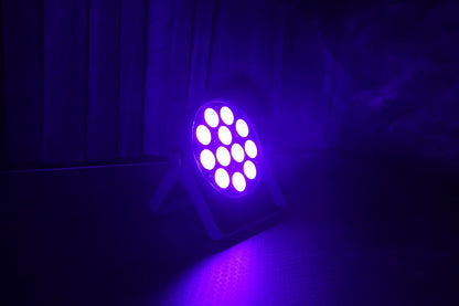 PAR12X4UVL - Indoor Dedicated UV Lite Par