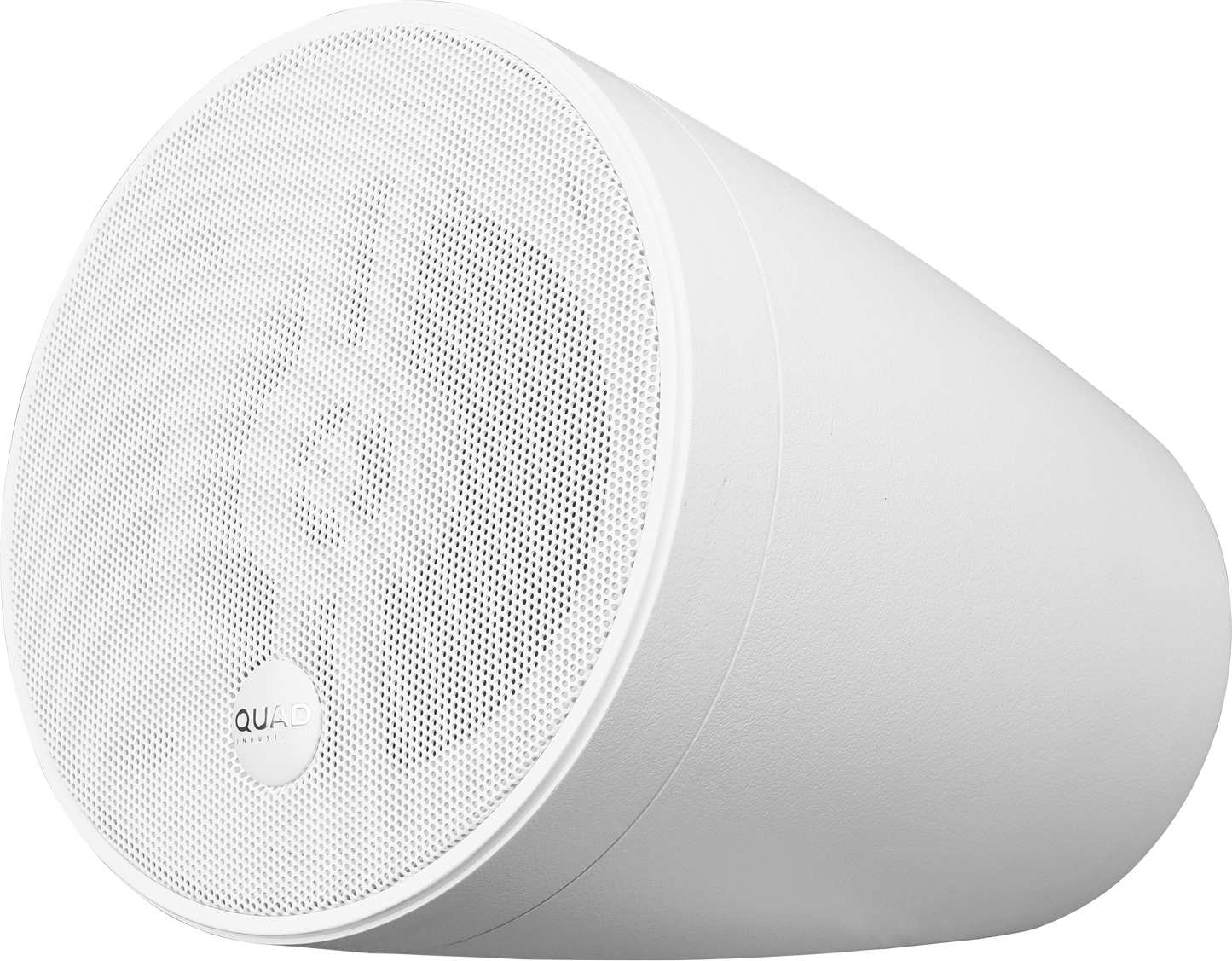 QI-PPRO5 - Pendant Pro 5.25" Loudspeaker (White)