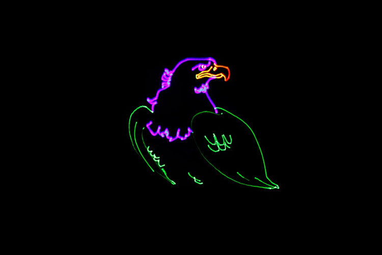 DASDI1000RGB
