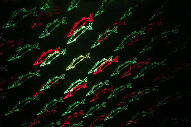DASDI1000RGB